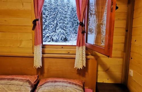Mitrovac Apartment | Mitrovacka Zora