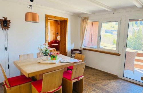 Feldberg Apartment | Mitten auf dem Feldberg Panorama Apartment Bergglück