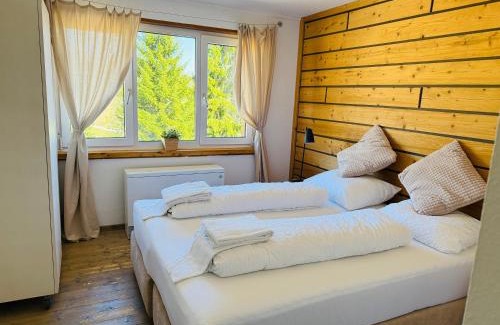 Feldberg Apartment | Mitten auf dem Feldberg Panorama Apartment Bergglück