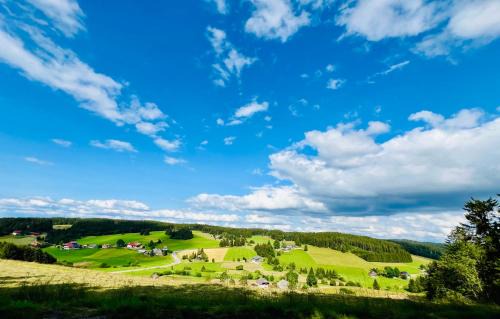 Schoenwald Apartment | Mitten im Schwarzwald mit Infrarot-Sauna und Garagenparkplatz