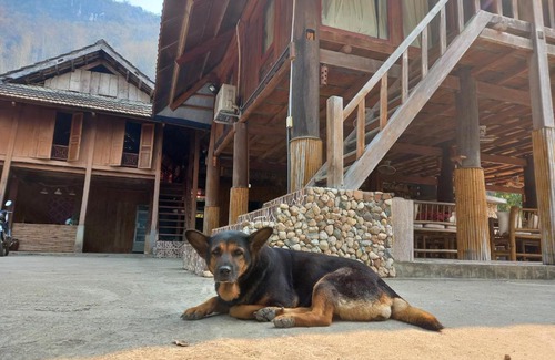 Mai Chau House | Mixed single &Double Bed in Domitory
