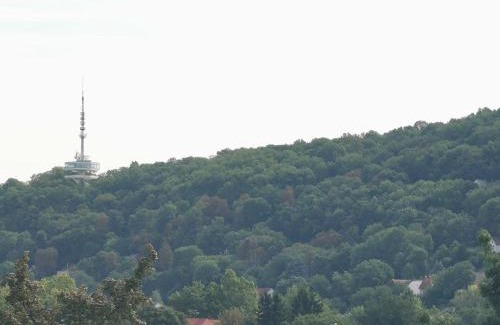 Hamor Apartment | MK Apartman
