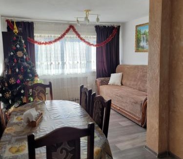 Mykulychyn Apartment | Mlynski