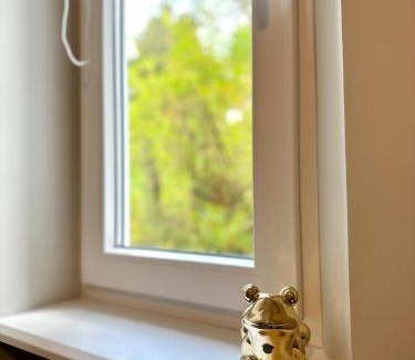Emaus House | MMRent Frog Room