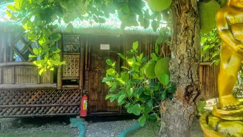 Moalboal Bed & Breakfast | Moalboal Bamboo Guest House