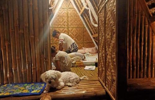 Moalboal Bed & Breakfast | Moalboal Bamboo Guest House