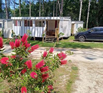 Piriac-sur-Mer Other | Mobil home 6 personnes Mer et Pins