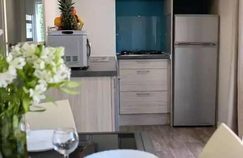Touquin House | Mobile-home XXL Breizh 5 rooms 10 persons