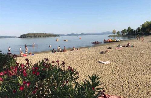 Tuoro sul Trasimeno Resort | Mobilehomes in Tuoro Sul Trasimeno - Umbrien 24273