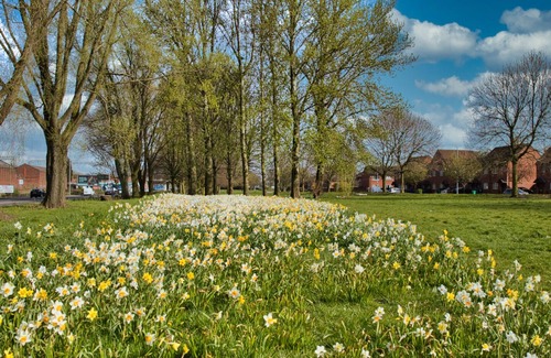 Chorlton-on-Medlock House | Modern 2 bdr Home, Spacious Garden, City Center, Free Parking NETFLIX