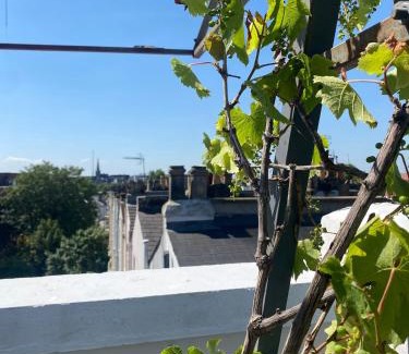 South Hampstead Apartment | Modern 2-Bed Penthouse on Iconic Abbey Road & Large Terrace