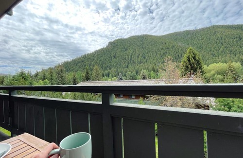 Warm Springs Apartment | Modern 2 Bedroom condo with pool and amazing view! Close to ski lifts & downtown!