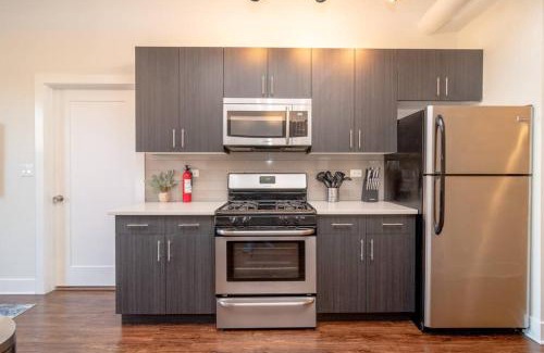 Near South Side Apartment | Modern 420 friendly 3BR Apartment in State Street Near McCormick Place, Chinatown and Soldier Field