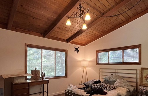Cobb Cabin | Modern and beautiful renovated cabin in Lush Lake County!