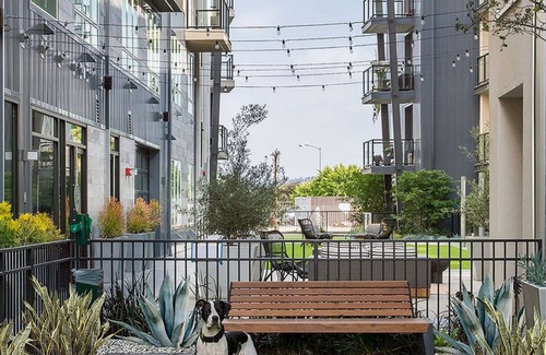 Atwater Village Apartment | Modern and Lavish apartment