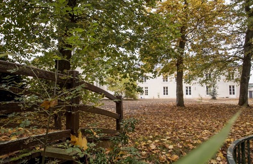 Saint-Dye-sur-Loire Apartment | Modern apartment in Saint Dyé sur Loire near Chambord comfort + bikes