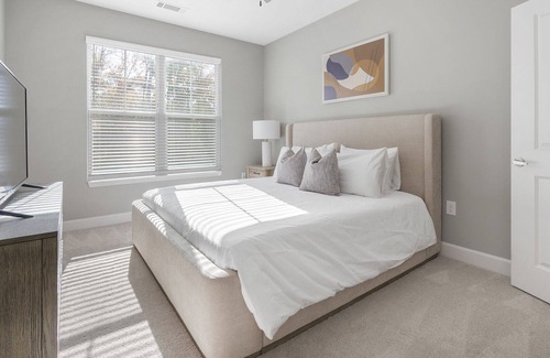 Paw Creek Apartment | Modern Apartment in Prime Location (ID1200X654)