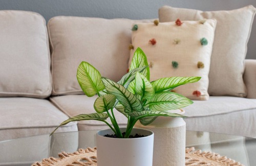 Mint Hill Apartment | Modern Apartment in Prime Location (ID2615X3)