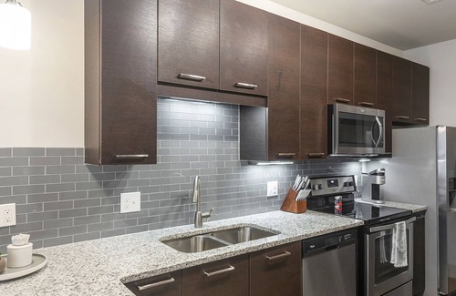 Plaza Midwood Apartment | Modern Apartment in Prime Location (ID8417X32)
