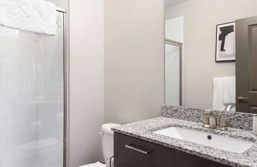 Plaza Midwood Apartment | Modern Apartment in Prime Location (ID8417X32)