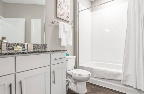 Chapel Hill Apartment | Modern Apartment in Prime Location (ID8082X78)