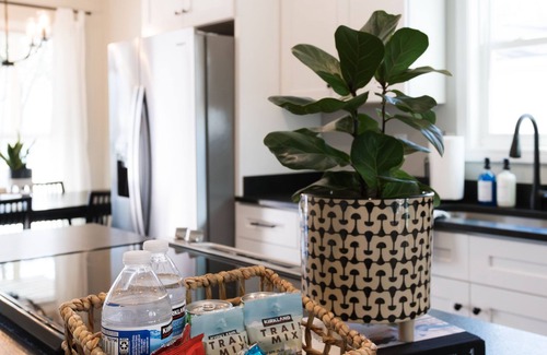 Dunean House | Modern Bungalow 5 min from downtown GVL