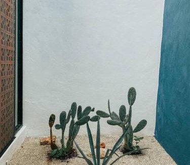 Merida House | Modern Casa with Pool 7 mins from Centro 5min La Plancha Park