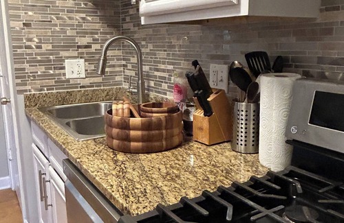 Woodlawn Condo | Modern Condo-Obama & University of Chicago Area