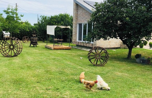 Musestre Cottage | Modern cottage surrounded by nature