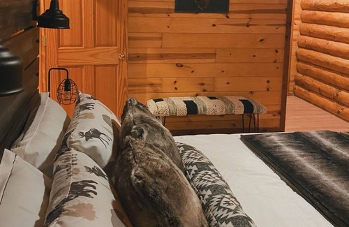 Wisconsin Dells Cabin | Modern Folk Cabin mins away from Wisconsin Dells