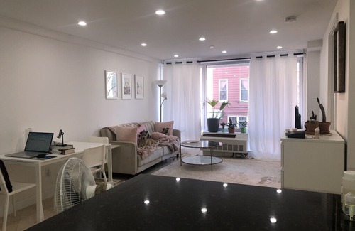 Greenpoint Apartment | Modern Hip Brooklyn Apartment