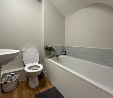 Ely House | Modern House Soham Town Centre
