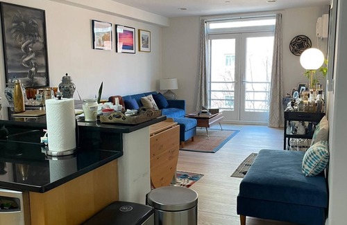 Williamsburg Apartment | Modern lg 2/2 Condo central Wburg : balcony, prkg, roof, gym. Sleeps 6
