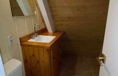 Harbor Springs Ski Chalet | Modern Luxury A-Frame with HOT TUB & FIREPLACE