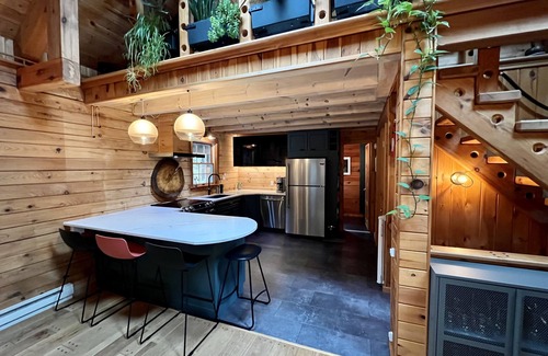 Grand Gorge Ski Chalet | Modern Rustic Log Chalet w/mtn views, pool & bonus loft on 17 secluded acres