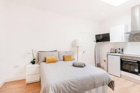Somers Town Apartment | Modern Studio Flat- Camden Town King's Cross Zone 1