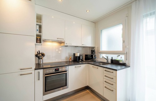Safenwil House | Modern Swiss Apt | spacious garden + parking + hi-speed wifi