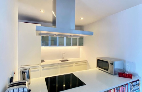 De Beauvoir Apartment | Modern, tasteful and spacious 2 bedroom/2 bathroom in Hoxton