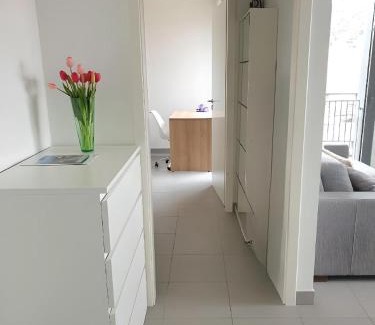 Old Town Apartment | Modern Top-Floor Apartment with Terrace, Pool & Free Private Parking