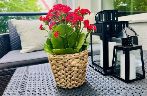Luegde Apartment | Moderne Ferienwohnung mit Regendusche, Eigenem Balkon und Grill in Lüdge