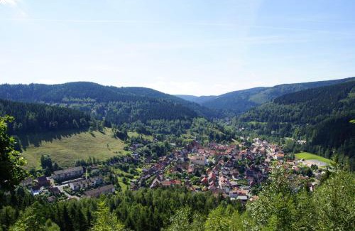 Lautenthal Apartment | Modernes Apartment In Traumlage