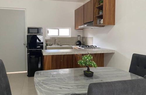 Tampico Apartment | Moderno Departamento Paseo la Cortadura en Tampico