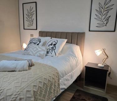 Barrio Italia Apartment | Moderno y confortable Departamento lugares turísticos Barrio Italia con estacionamiento Gratis
