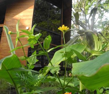 Viota Cabin | Mogambo Ecolodge