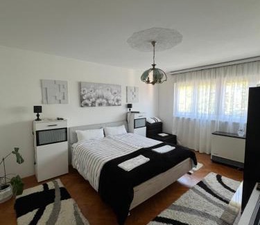 Gornji Milanovac Apartment | Moj dom