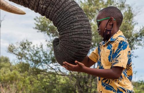 Leeupoort Villa | Mokaikai - The Great Buffalo