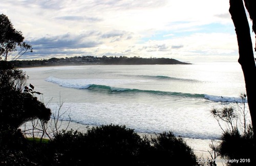 Mollymook Apartment | Mollymook Cove Apartments