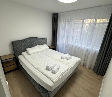 Siauliai City Center Apartment | Moncerat