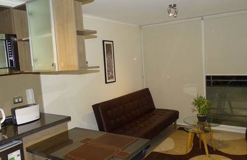 Downtown Santiago Apartment | Moneda Express Apart