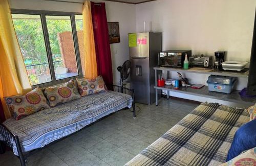 Pacuare Reserve House | Monkey View